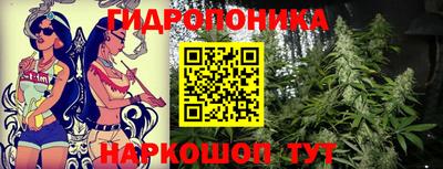 ГАЛЛЮЦИНОГЕННЫЕ ГРИБЫ Берёзовский