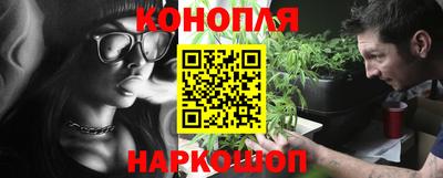 гидра Бийск