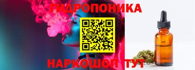 ГАЛЛЮЦИНОГЕННЫЕ ГРИБЫ Берёзовский