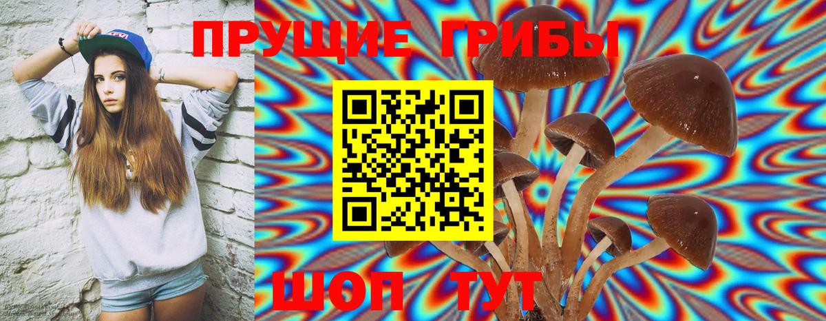Кизляр  Галлюциногенные грибы мицелий  Псилоцибиновые грибы Magic Shrooms  Вход с VPN 