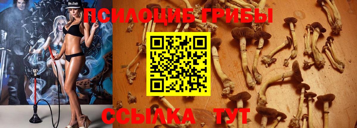 Псилоцибиновые грибы ЛСД Кизляр